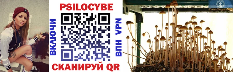 Псилоцибиновые грибы MAGIC MUSHROOMS  купить закладку  Данков 