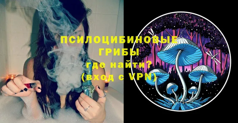 что такое   Данков  Псилоцибиновые грибы MAGIC MUSHROOMS 